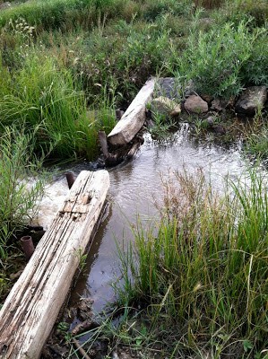 Our Vacation to Vermejo Park Ranch - New Mexico