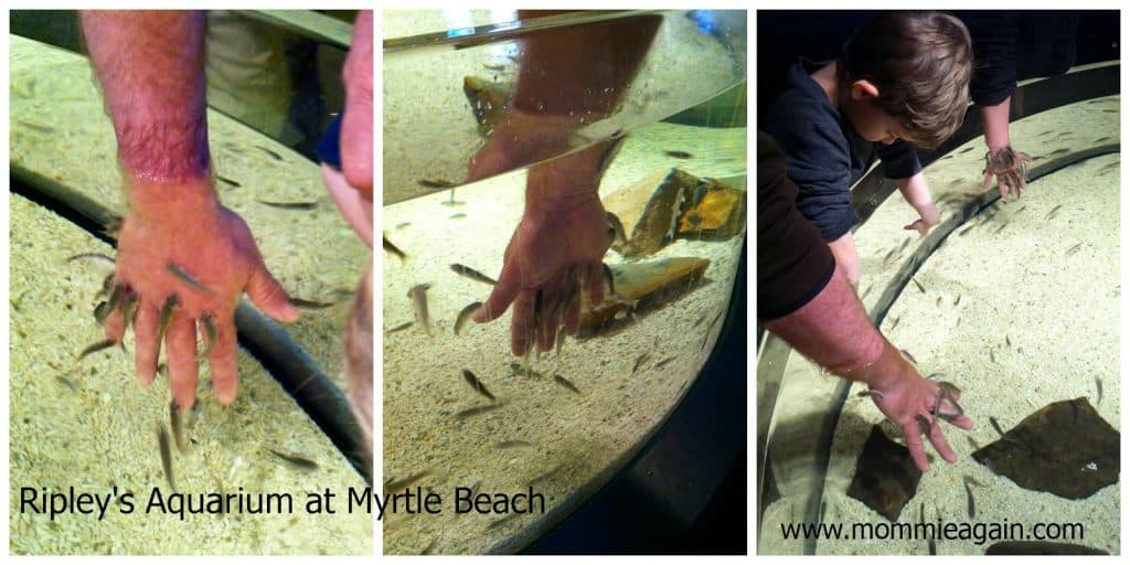 Having FUN at Beautiful Myrtle Beach