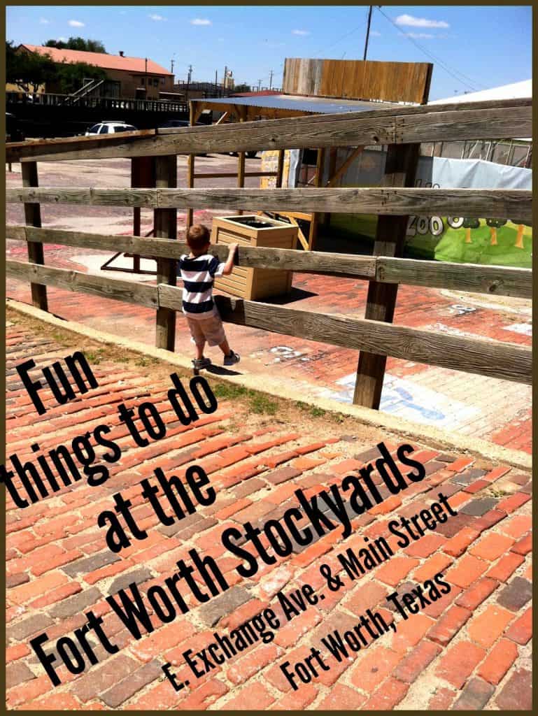 Fun Things to do at the Fort Worth Stockyards