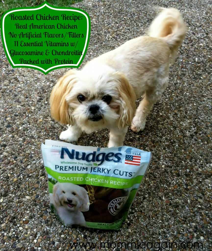 Made in USA Wholesome Dog Treats
