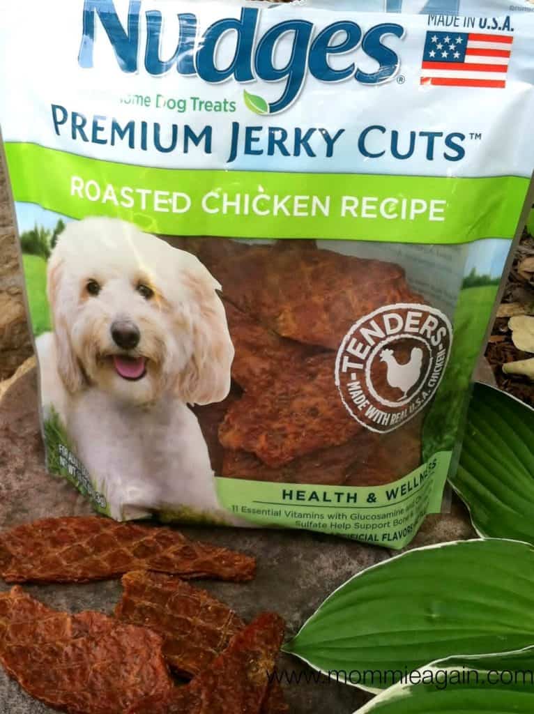 Made in USA Wholesome Dog Treats