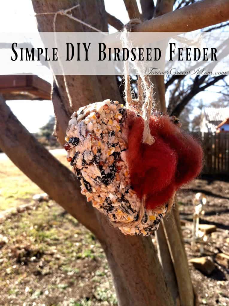 DIY Birdseed Feeder for Your Feathered Friends