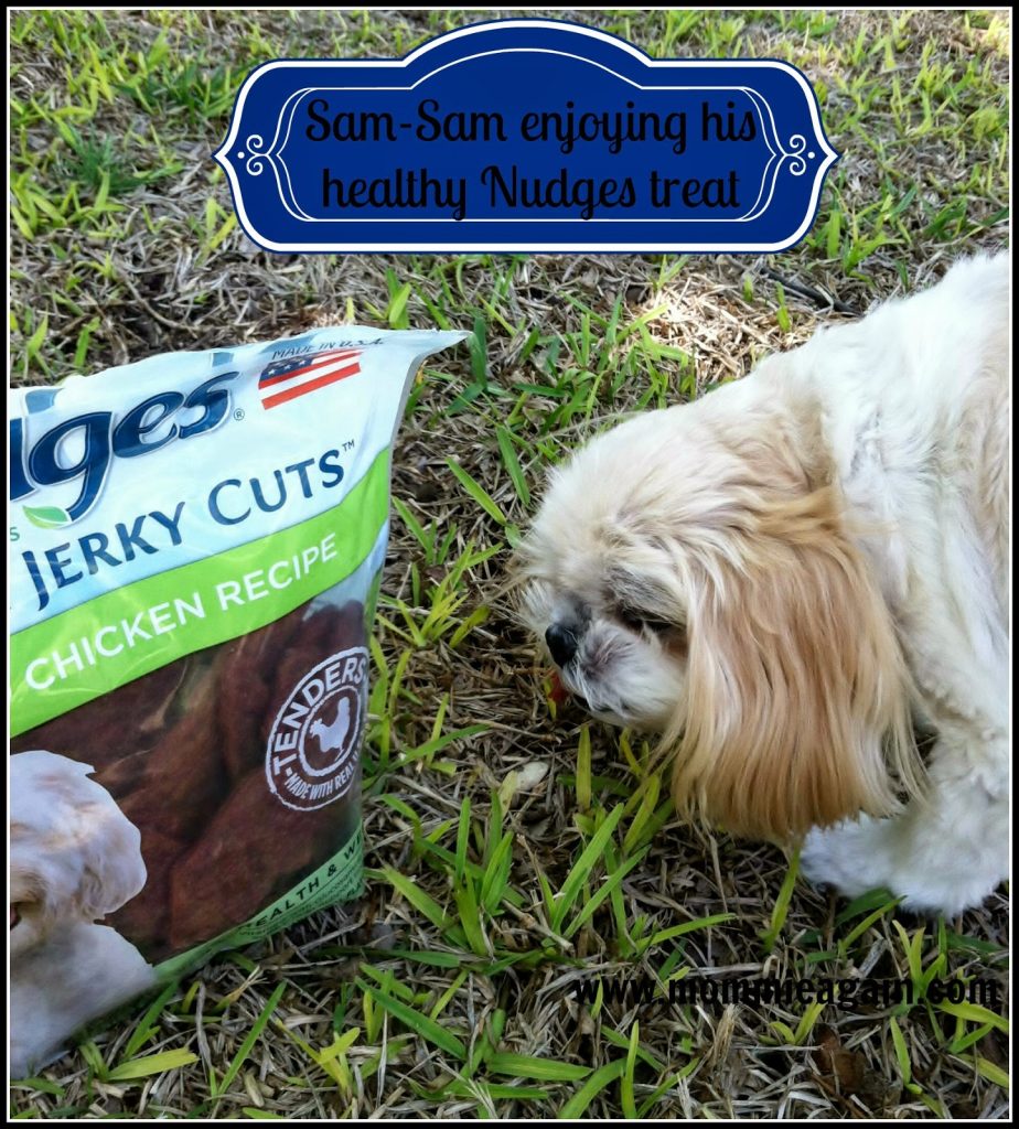 Made in USA Wholesome Dog Treats Made in USA Wholesome Dog Treats