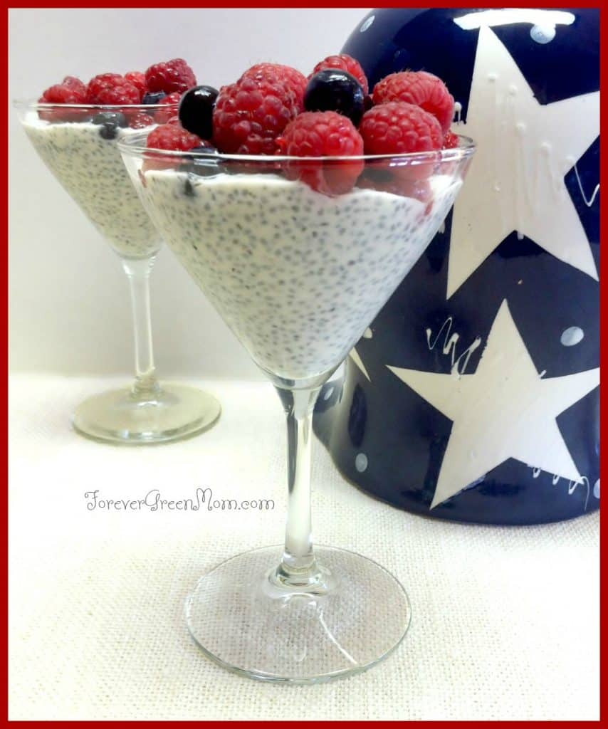Chia Seed Pudding Recipe for the 4th of July