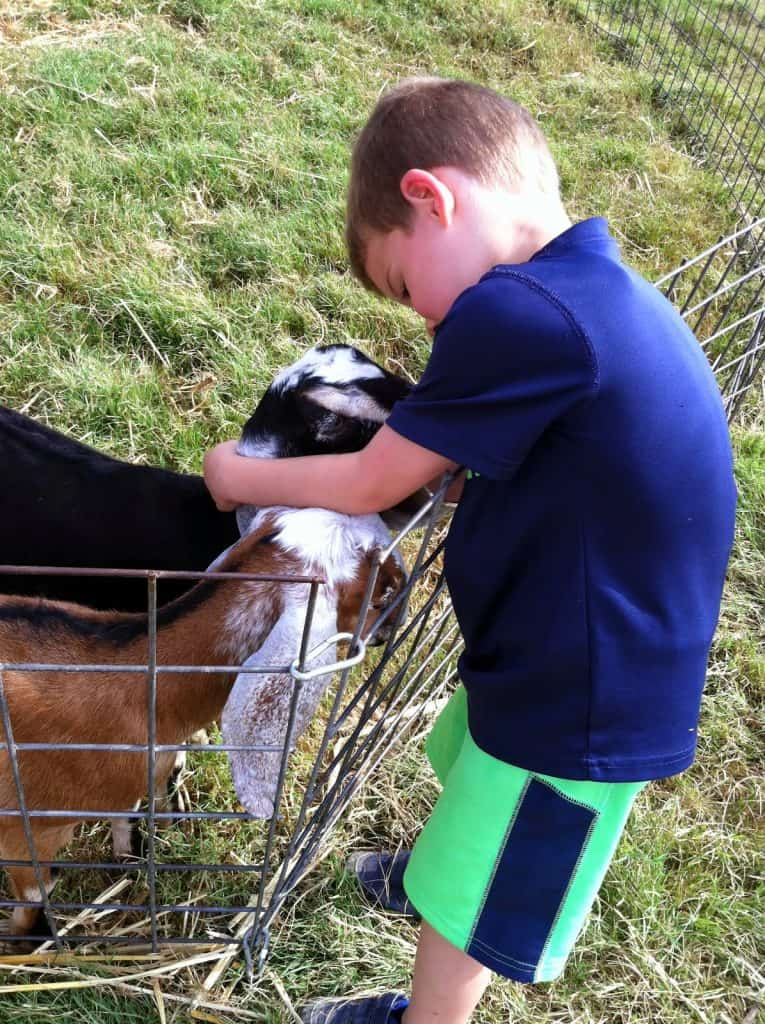 Farm Life in Keller Texas