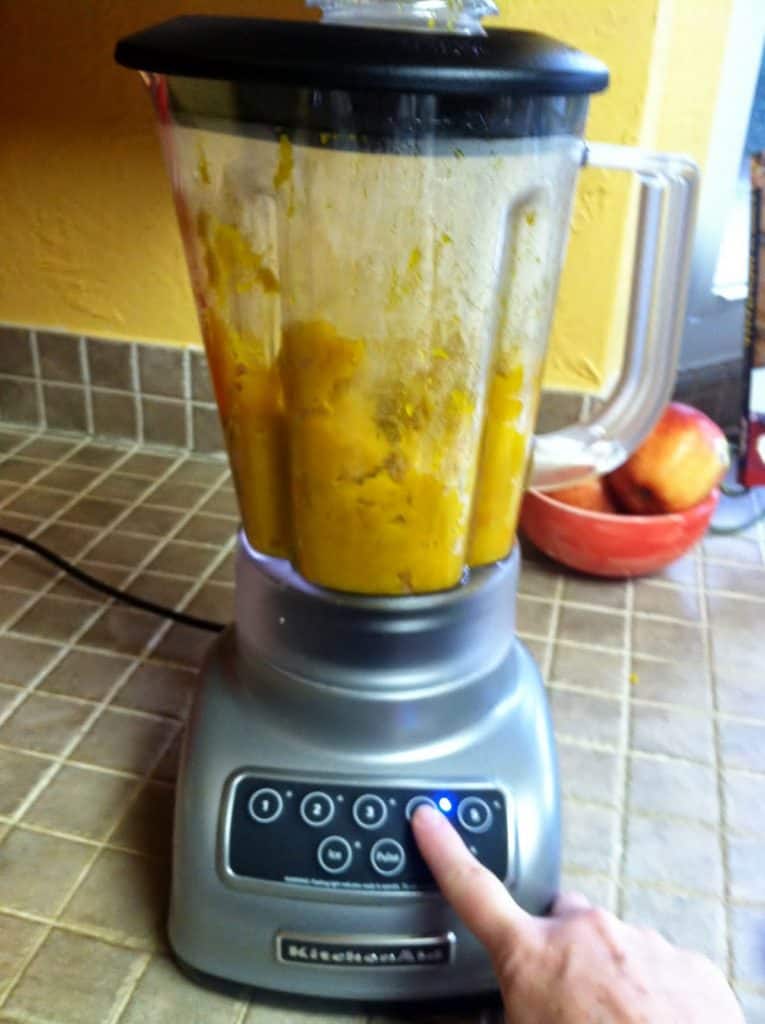 Homemade Pumpkin Pie Filling in blender