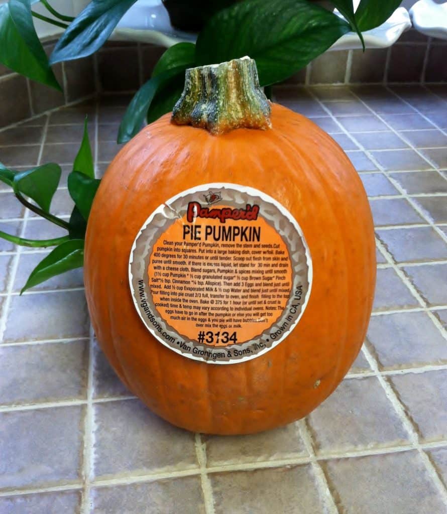My Not-So-Perfect Homemade Pumpkin Pie Filling My Not-So-Perfect Homemade Pumpkin Pie Filling