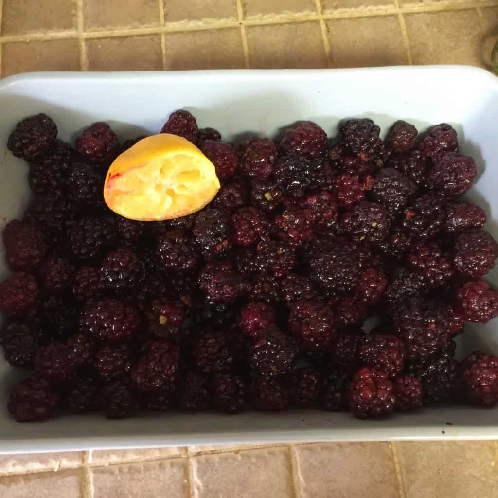 Easy Paleo Blackberry Crumble Easy Paleo Blackberry Crumble