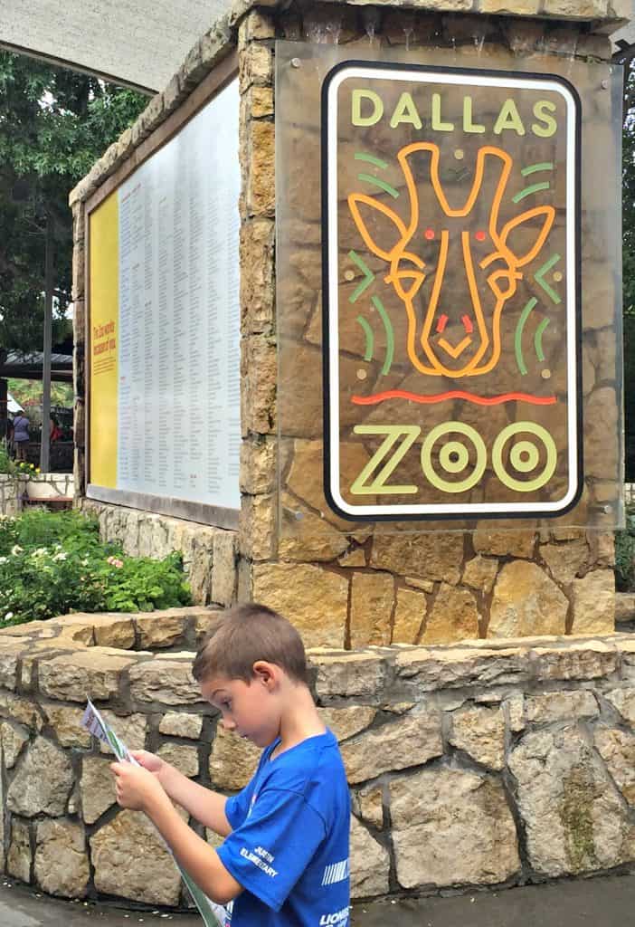 Dallas Zoo ZooHoo Blogger Day