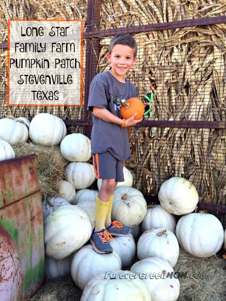 Adventure at Lone Star Family Fun Pumpkin Patch Stephenville, TX