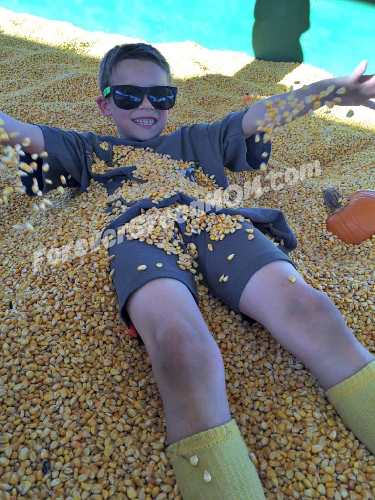 lone-star-family-farm-corn