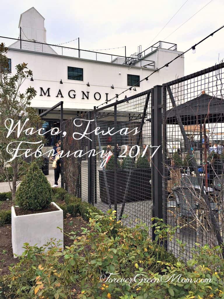 My First Visit to Magnolia Market Waco, TX