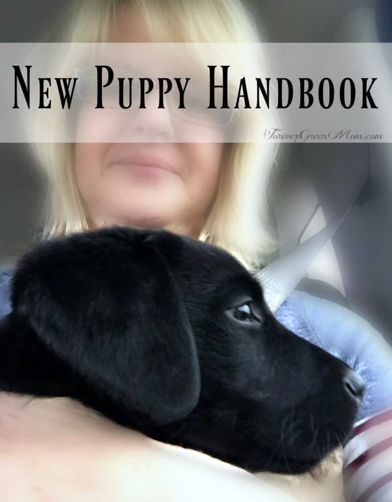 New Puppy Handbook