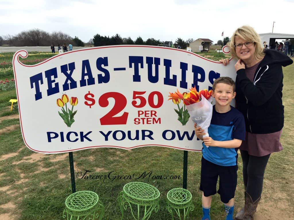 Visit Texas Tulips for Awesome Photography