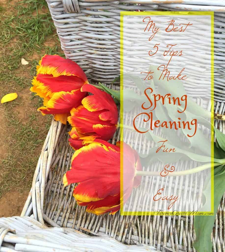 5 Tips to Make Spring Cleaning Fun | My Traveling Roads