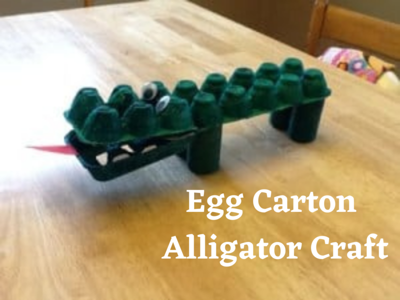 Egg Carton Alligator Craft for Preschoolers