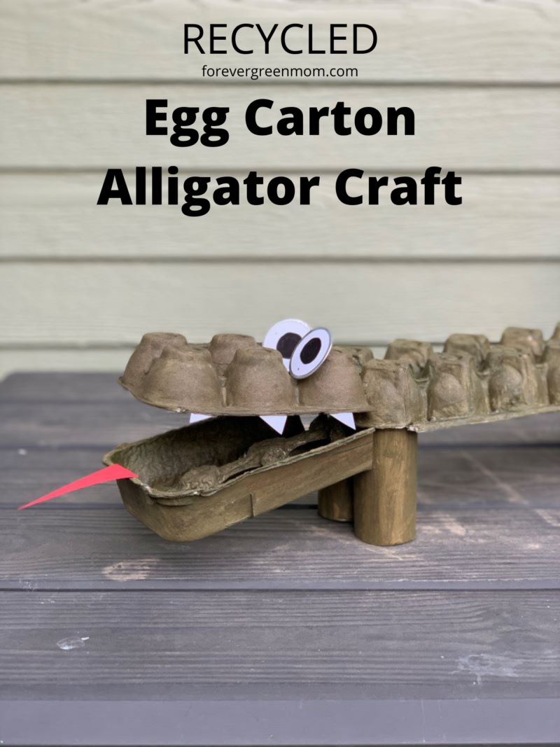 Recycled Egg Carton Alligator Craft