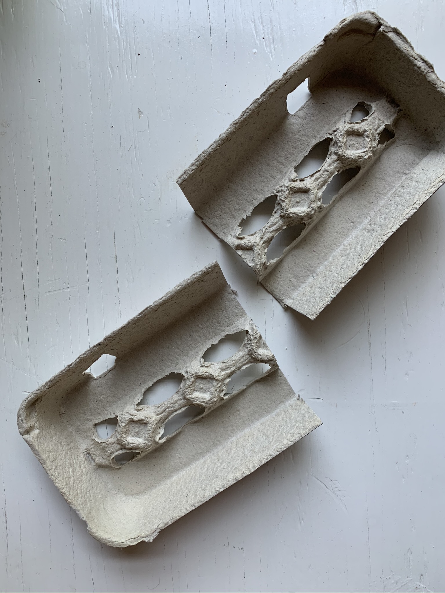 Egg Carton Alligator Craft for Preschoolers UPDATED 2020