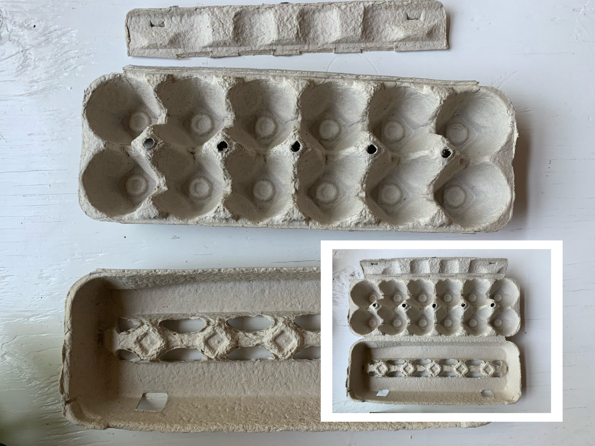 Egg Carton Alligator Craft for Preschoolers UPDATED 2020