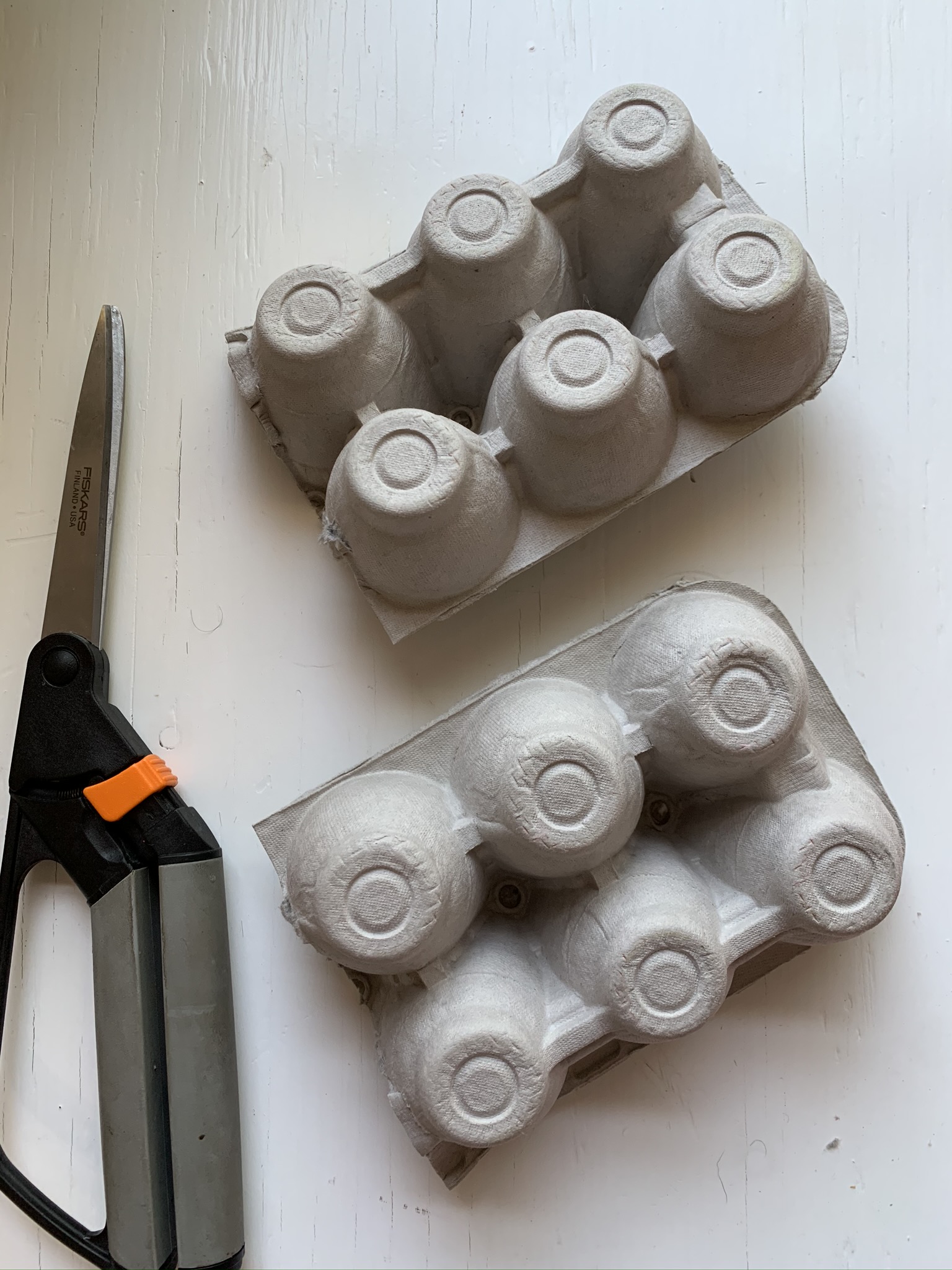 Egg Carton Alligator Craft for Preschoolers UPDATED 2020