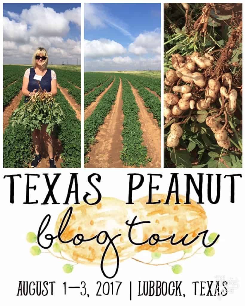 Texas Peanut Tour, Farmers, & Recipe