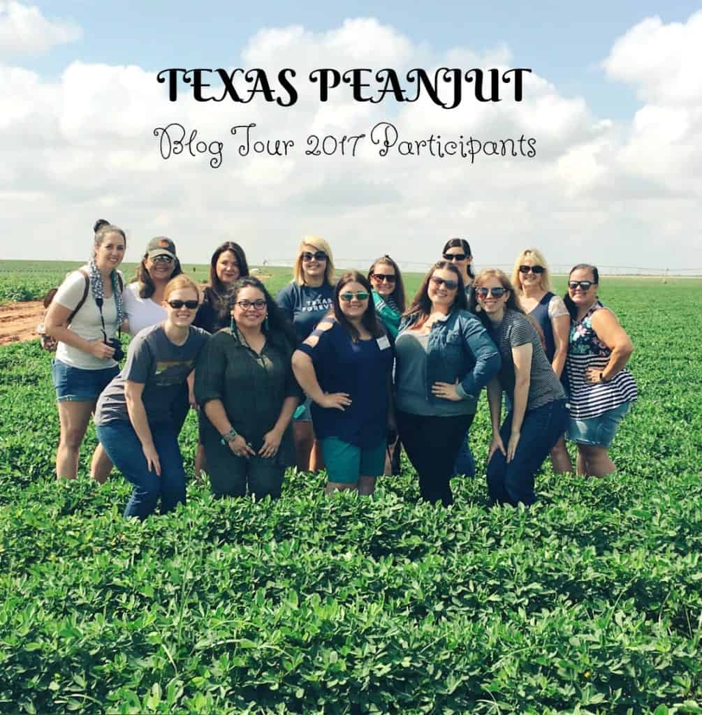 Texas Peanut Tour, Farmers, & Recipe