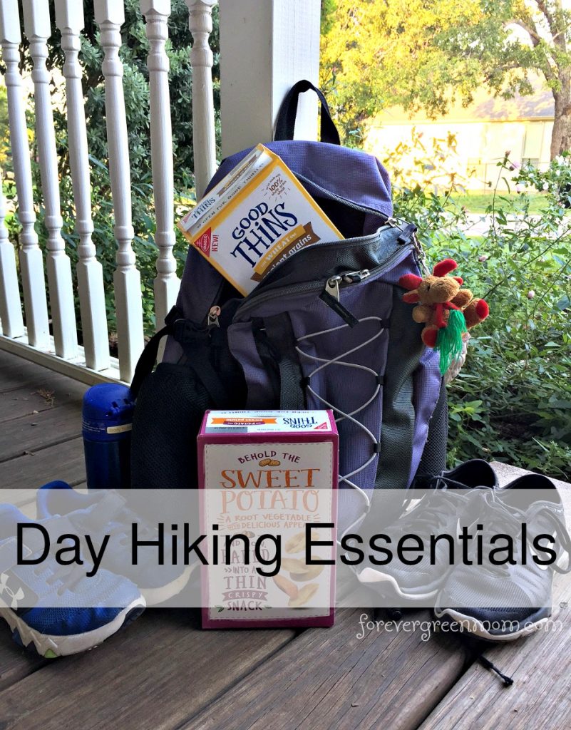 5 Family Favorite Day Hiking Essentials