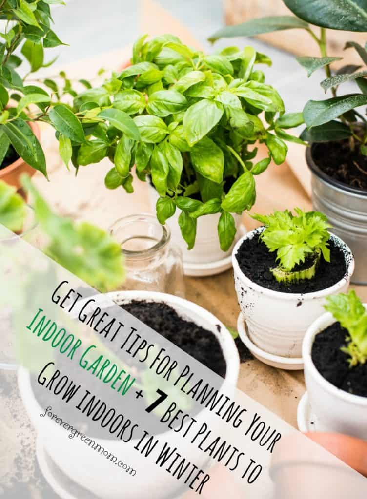 5 Tips for Planning Your Indoor Garden