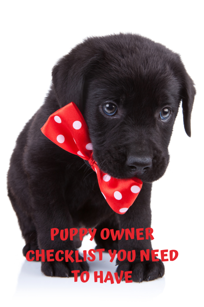 Important Puppy Owner Checklist