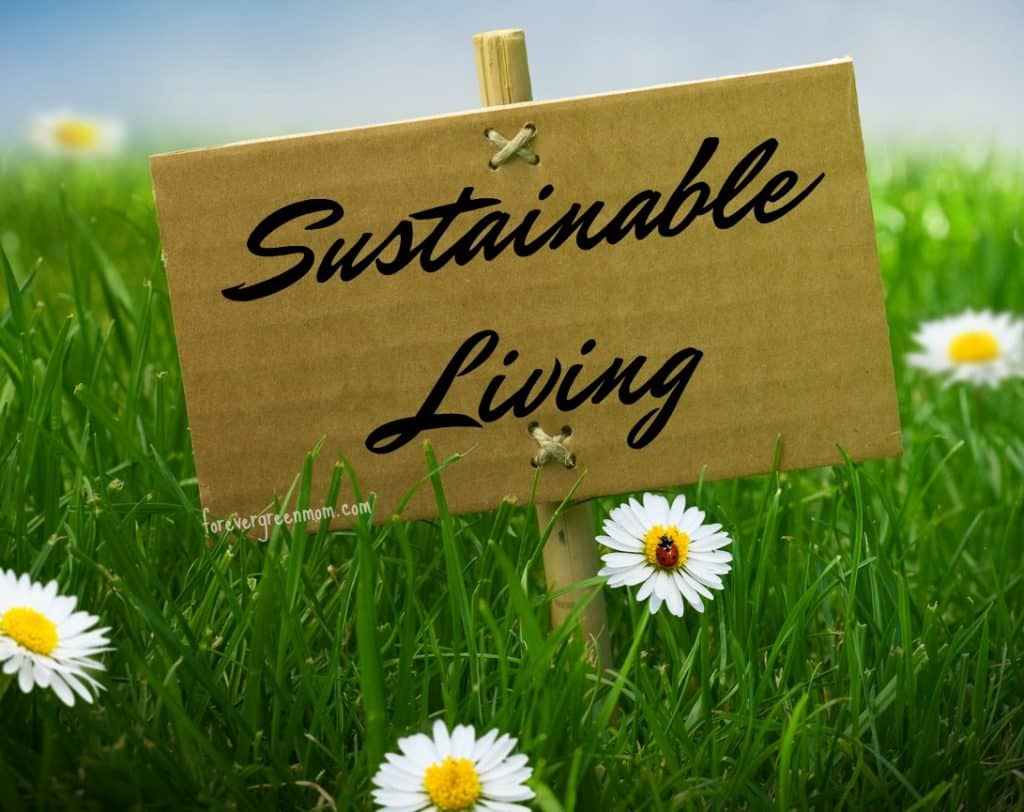 12 Books on Sustainable Living that are Must Reads