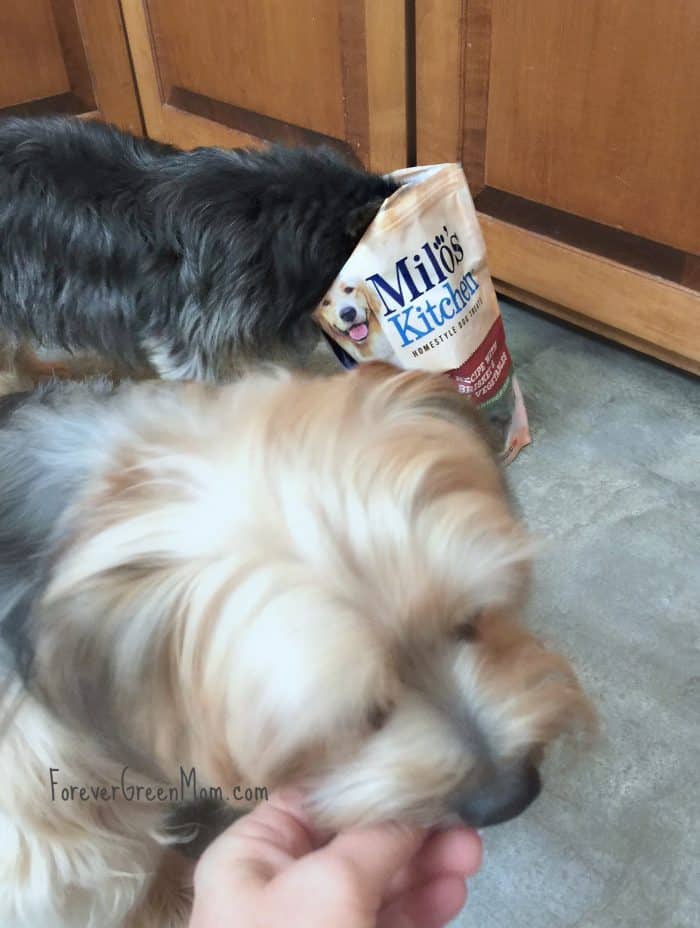 Homestyle Dog Treats Made with Real Beef, Chicken or Duck as the #1 Ingredient