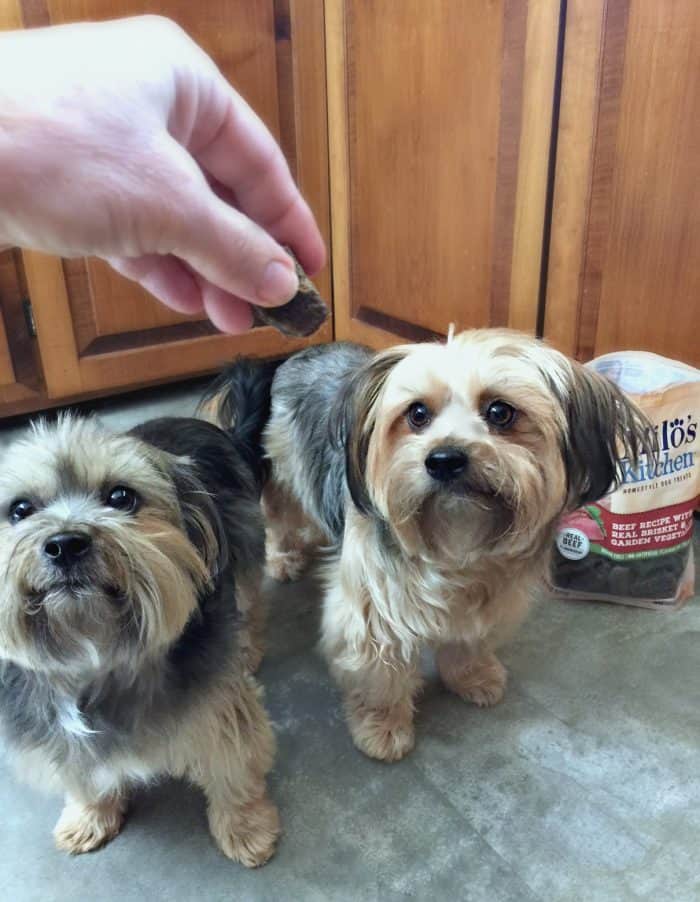 Homestyle Dog Treats Made with Real Meat