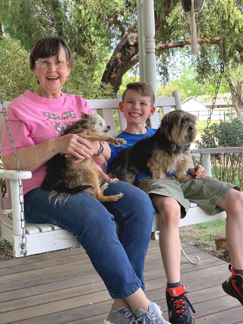 Grandma and great grandson on porch swing with dogs