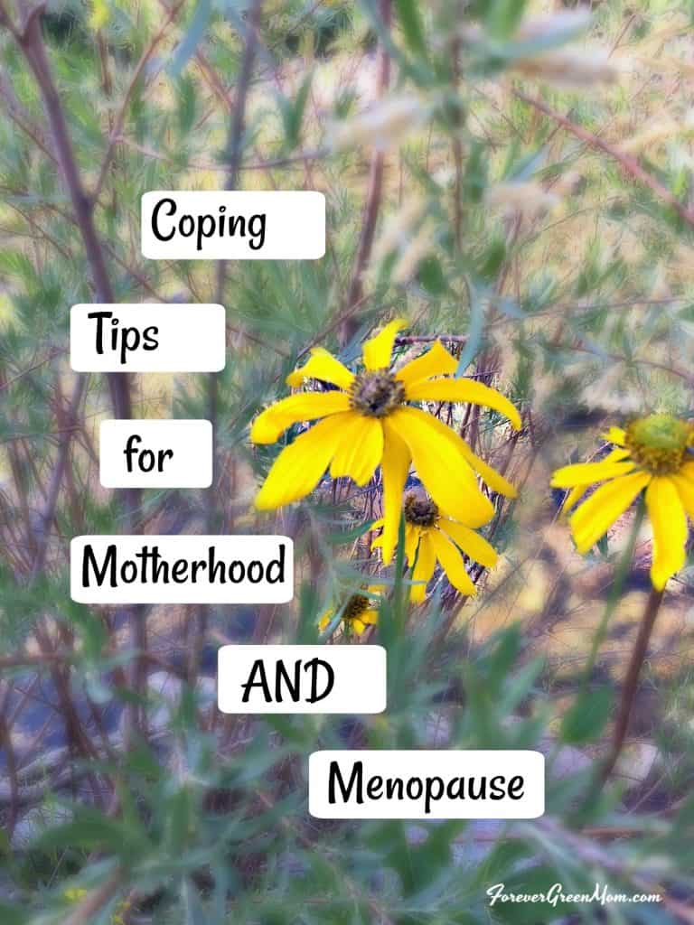 Coping Tips for Motherhood and Menopause