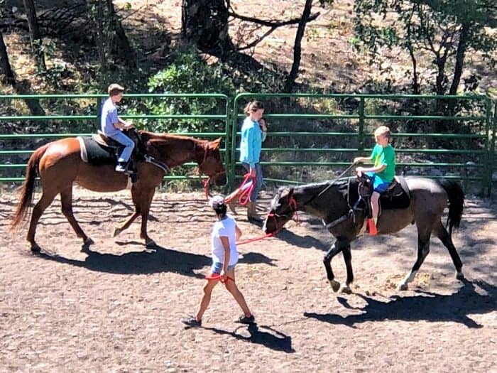 Summer Horseback Riding lessons for kids