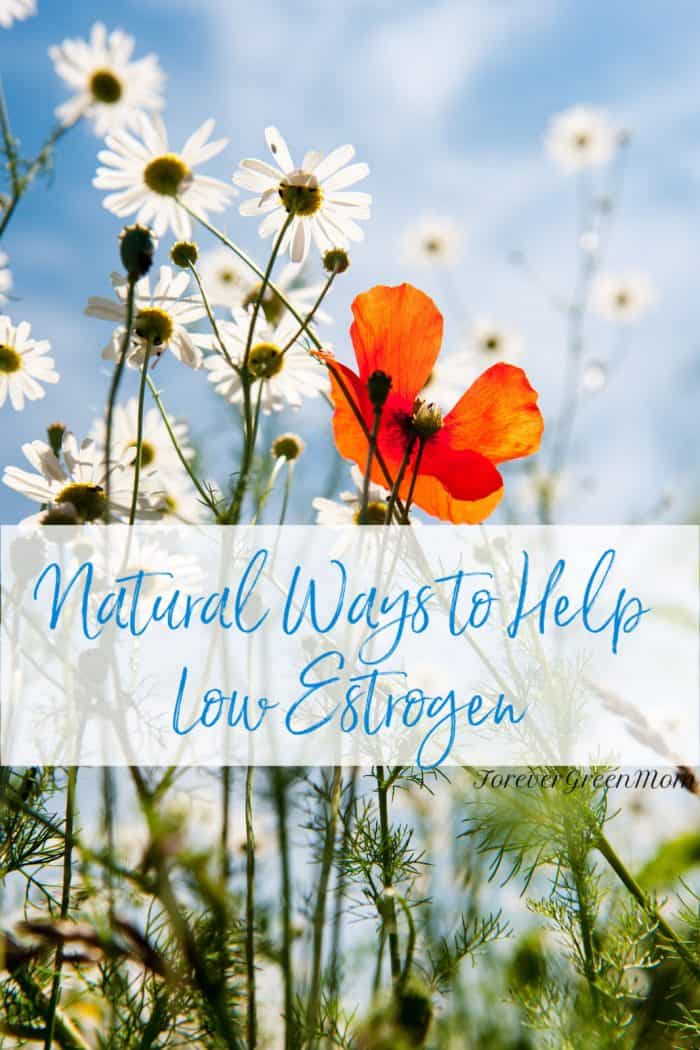 Natural Ways to Help Low Estrogen