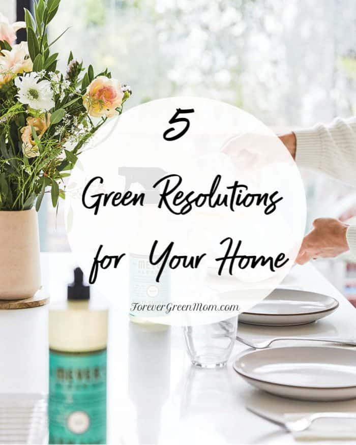 5 Green Resolutions for Your Home