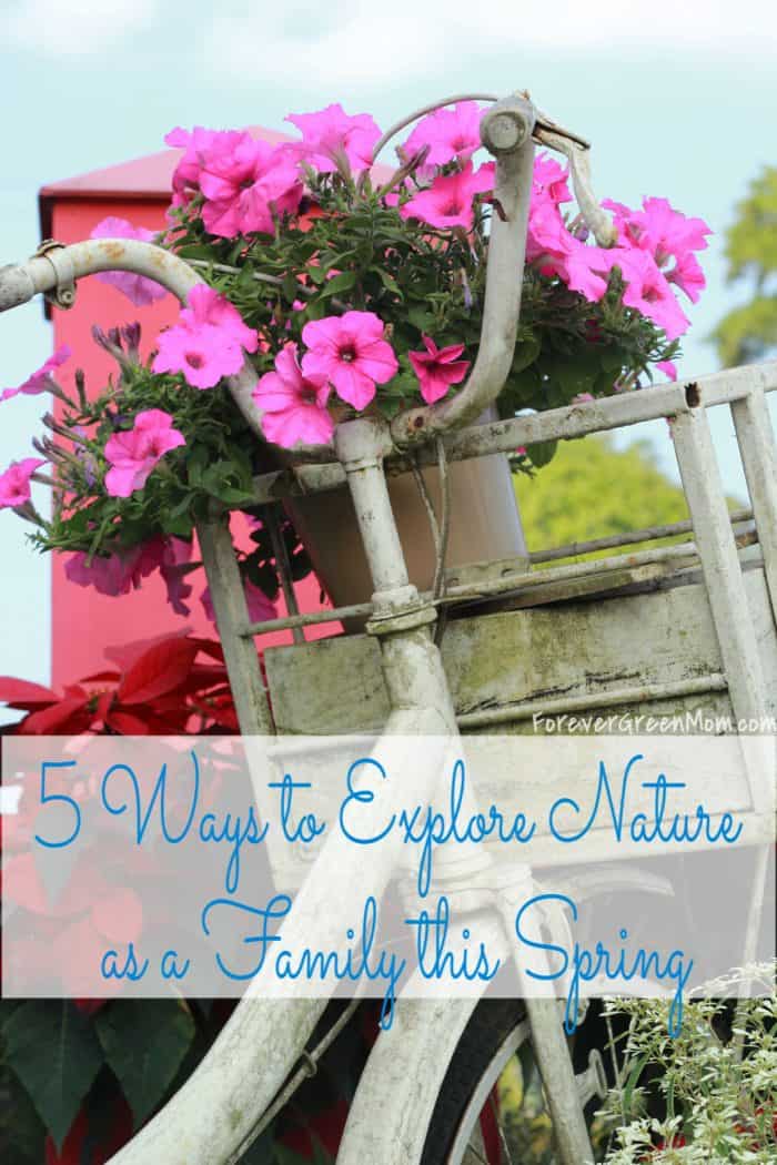 5 Ways to Explore Nature as a Family this Spring