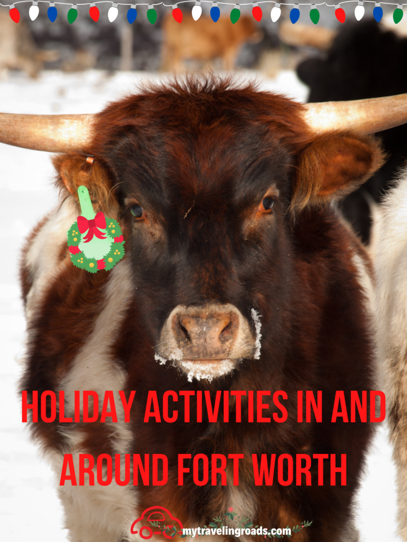 Holiday Activities In and Around Fort Worth