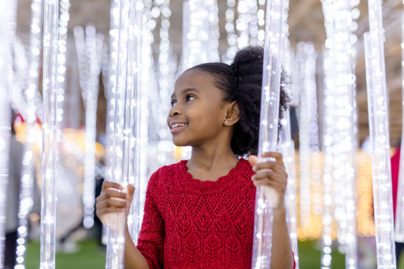 Luminova Holiday Event photo