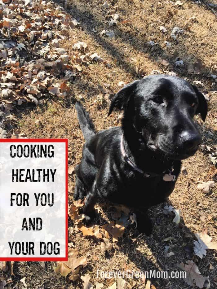 Cooking for You AND Your Dog
