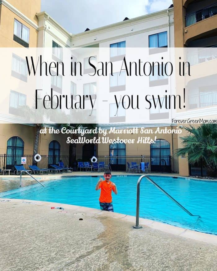 Things to do in San Antonio in Winter