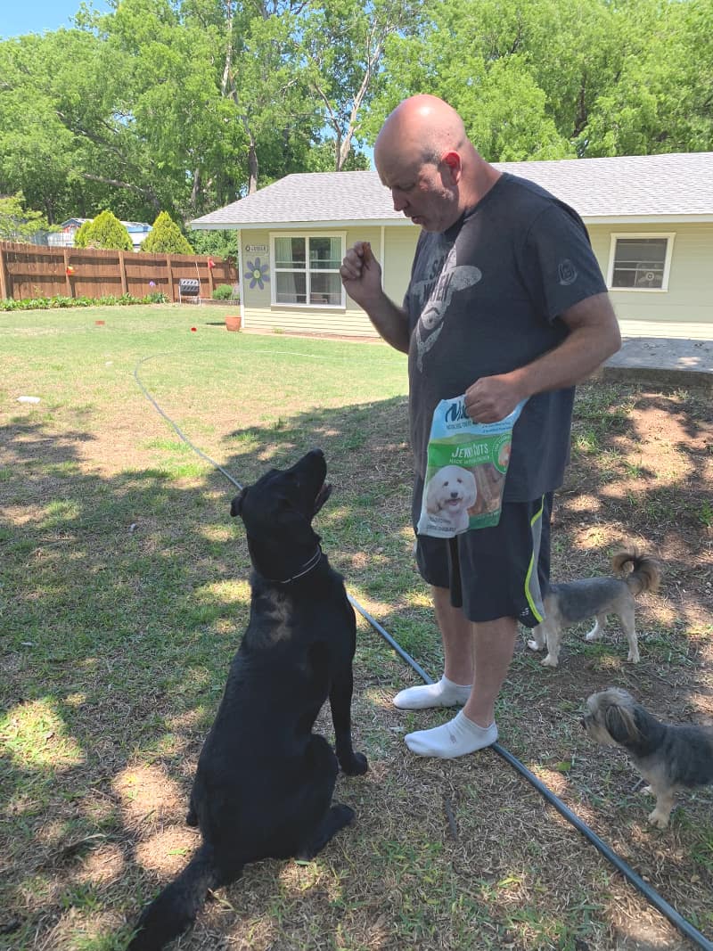 Reward your Lab with Nudges Chicken Jerky Dog Treats for National Pet Month