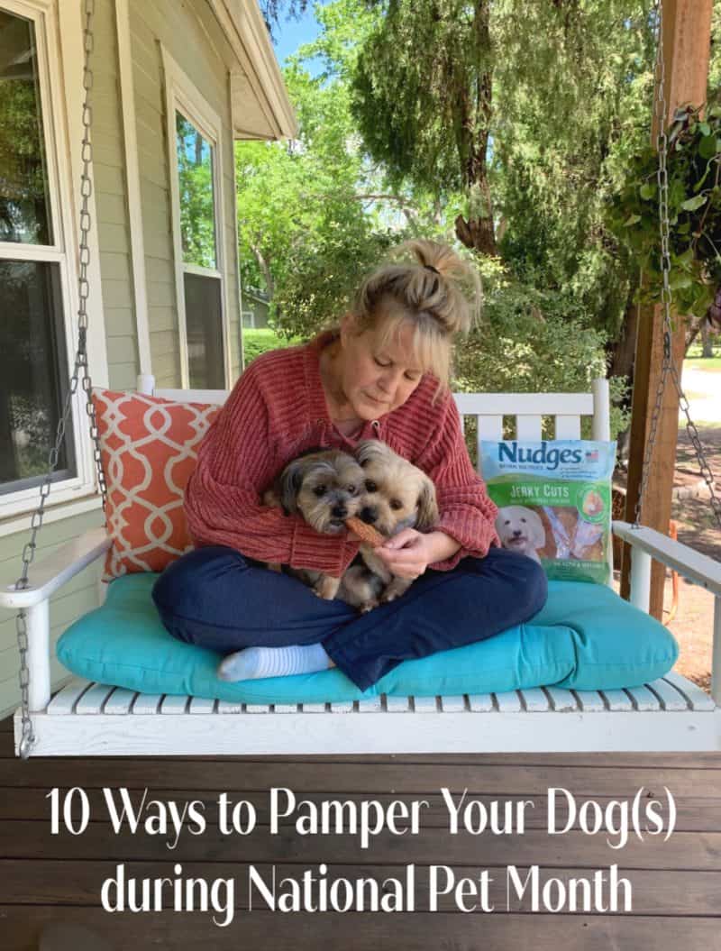 10 Ways to Pamper Your Dog During National Pet Month