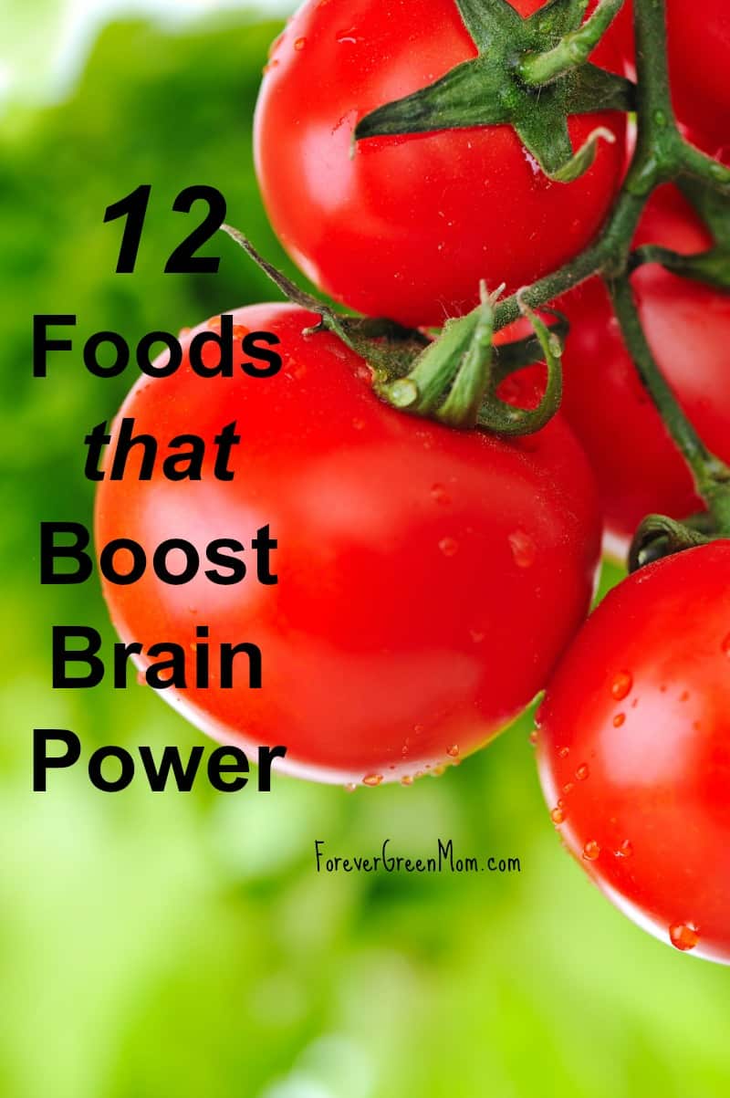 Top 12 Foods that Boost Brain Power