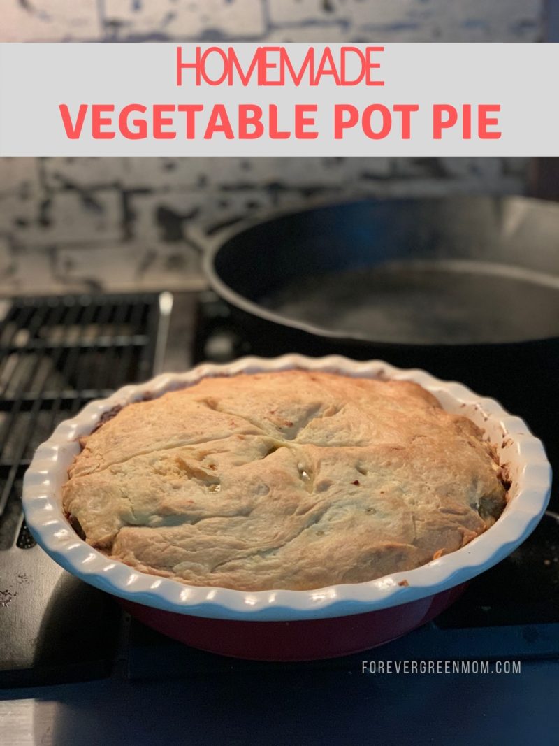 Homemade Vegetable Pot Pie from Scratch