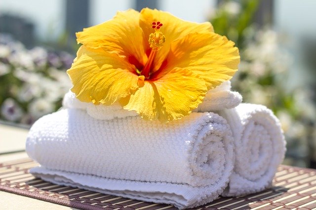 Seven Edible Flowers for Your Garden