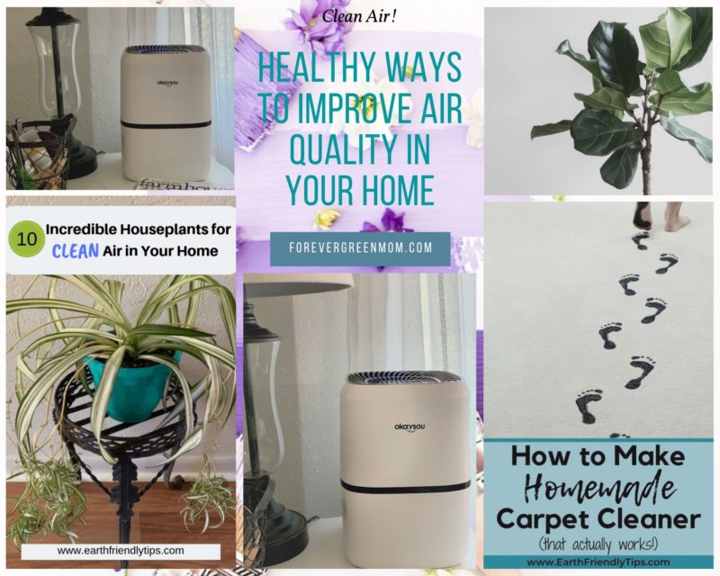 Healthy Ways to Improve Air Quality in Your Home