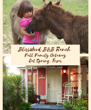 Fall Family Getaway
