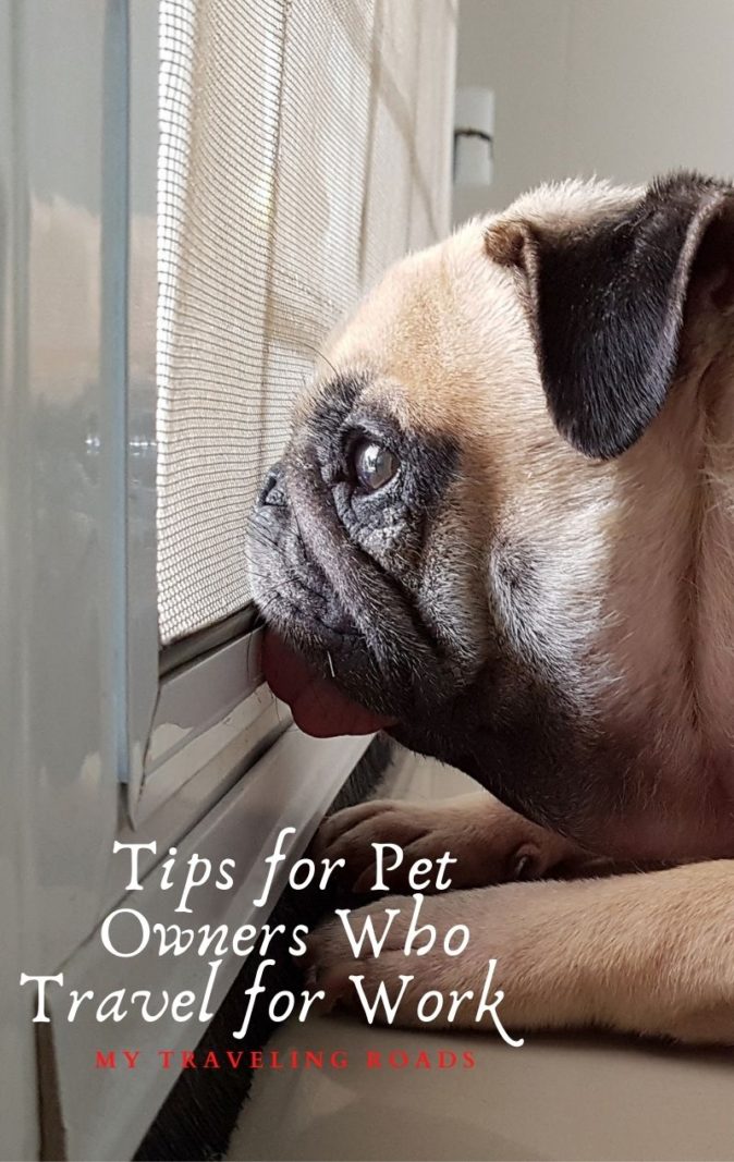 Tips for Pet Owners Who Travel for Work  
